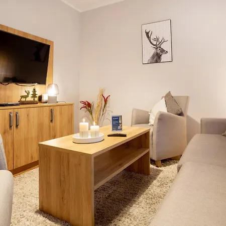 Bergzeit 4 Apartment Hohegeiss